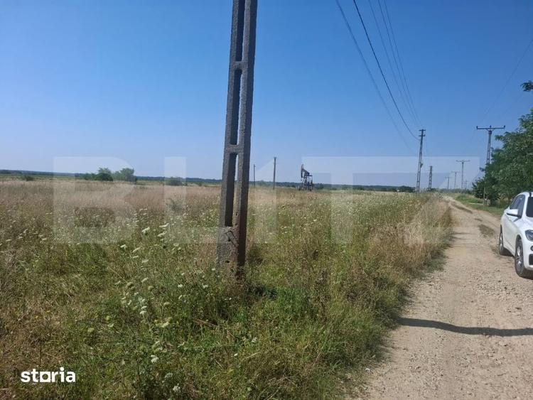 Teren de 4400 mp, în Șotânga