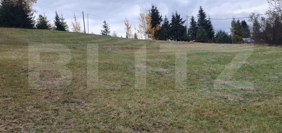 Teren Construcții intravilan de 4000 mp, în Panaci
