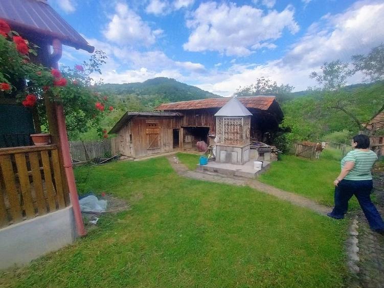 Casă cu 3 camere cu Teren 5000 Mp în Sârbi