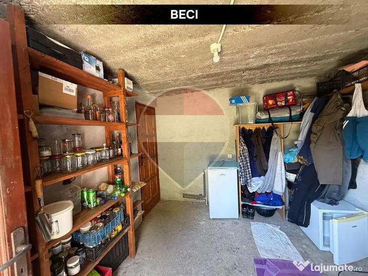 Casă cu 3 camere cu Teren 1594 Mp în Valea Borcutului