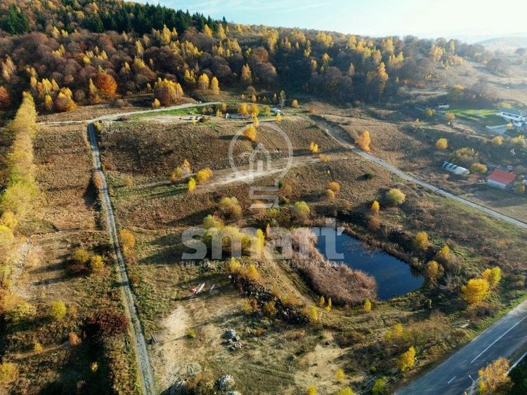 Teren Construcții intravilan de 3695 mp, în Sălicea