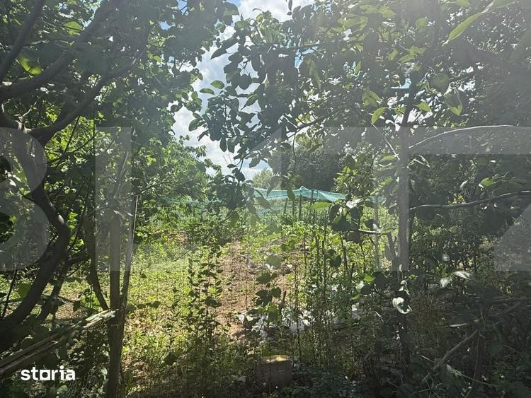 Casă cu 2 camere cu Teren 5000 Mp în Schit-Orășeni