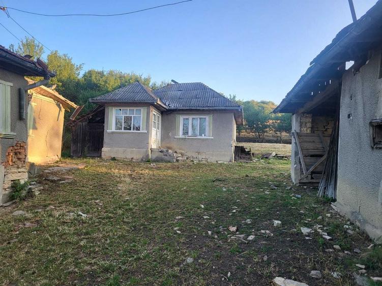 Teren de 2500 mp, în Sud