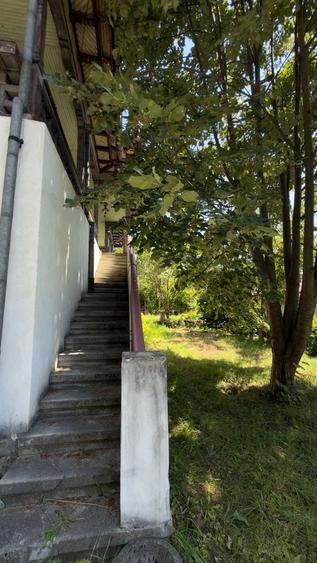Casa | Bradetu, Arges | Crama | Tranfagarasan | Vidraru - 29