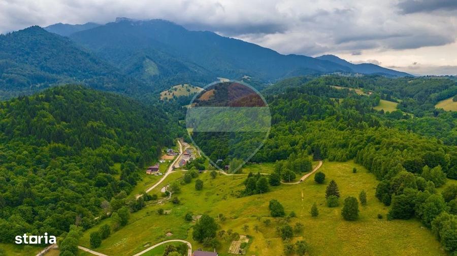 Teren intravilan 2,410mp Rasnov - Valea Panicelului, vedere panoramica - 5