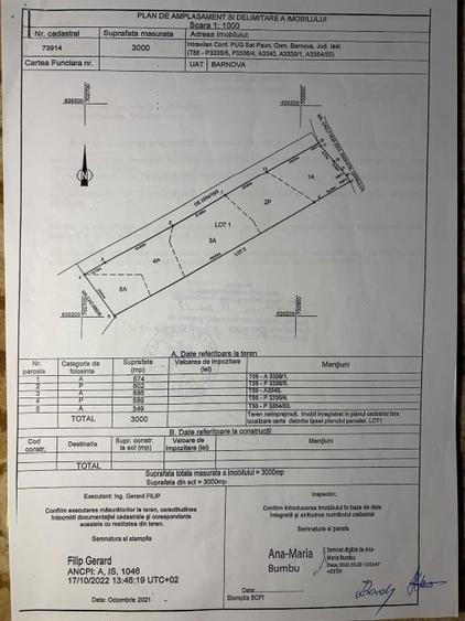 Teren Construcții intravilan de 3000 mp, în Păun