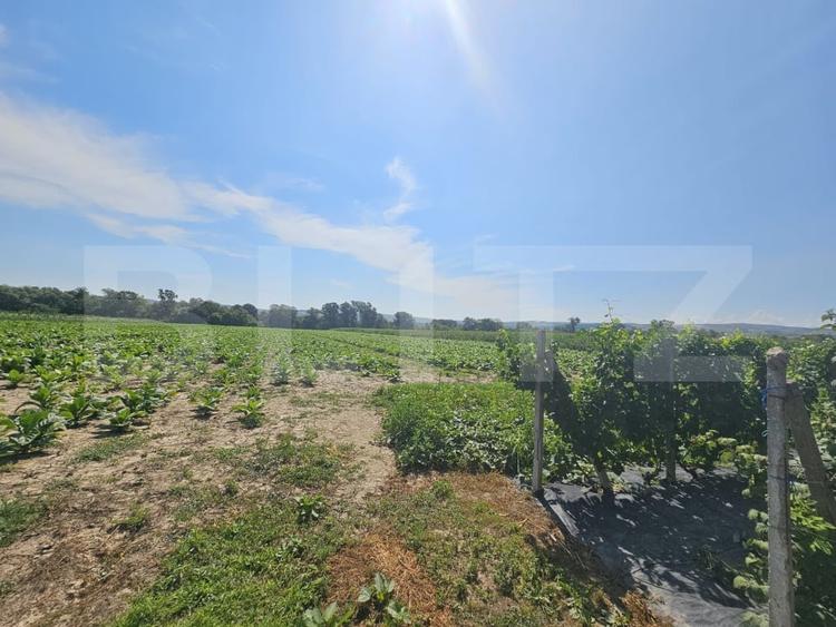 Teren agricol extravilan de 14068 mp, în Periferie