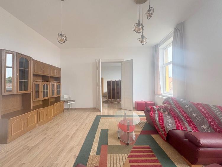 Apartament de inchiriat pet friendly-Piata Iuliu Maniu Timisoara - 4