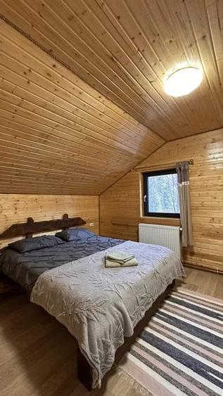 Casă individuală cu 5 camere cu Piscina în Plopi
