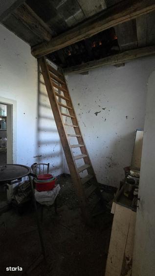 Casă cu 3 camere cu Teren 3000 Mp în Viile Satu Mare