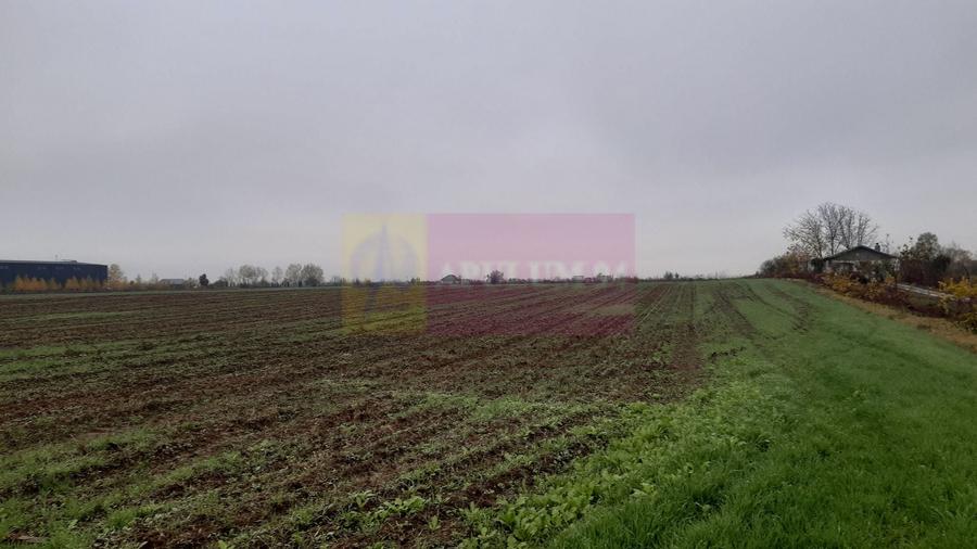 Teren Construcții intravilan de 2250 mp, în 1 Decembrie