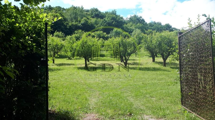 Teren agricol extravilan de 4288 mp, în Gușterița