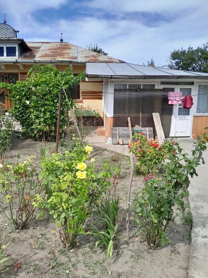 Casă cu 5 camere cu Teren 2500 Mp în Vutcani