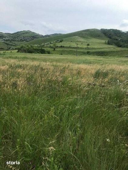 Teren de 8000 mp, în Berca