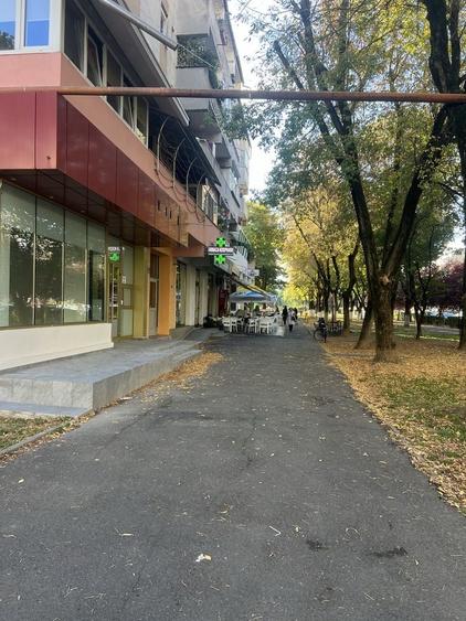 Spațiu comercial, de 95 mp, în Dara