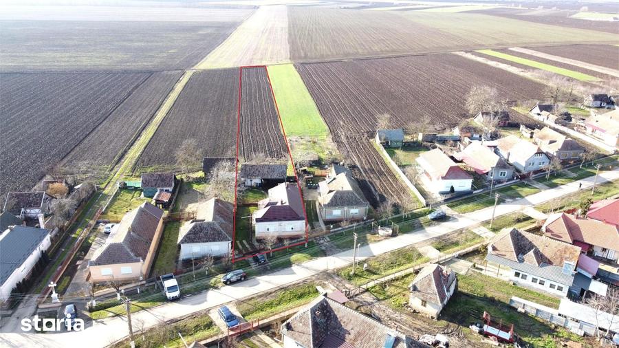 Casă cu 4 camere cu Teren 3122 Mp în Petrești