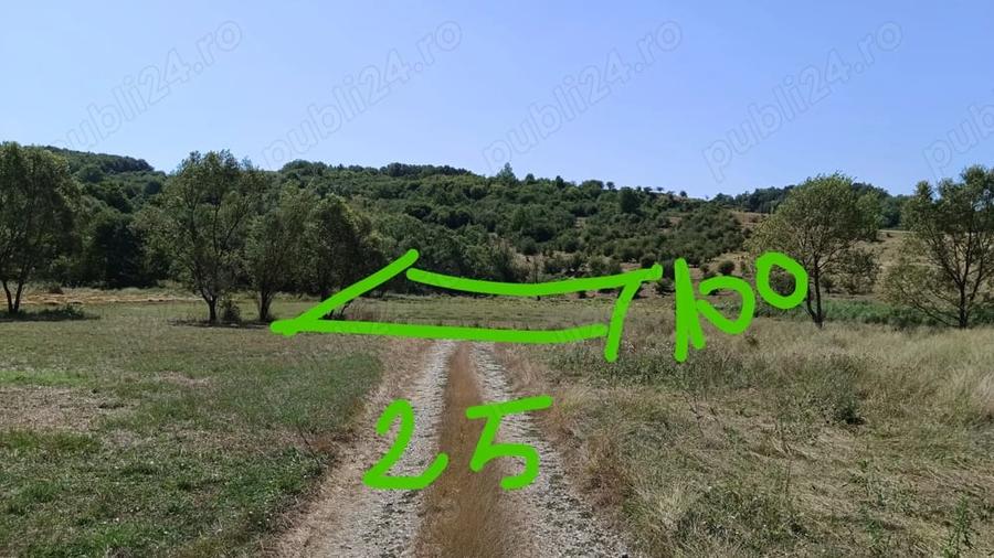 Teren de 2500 mp, în Central