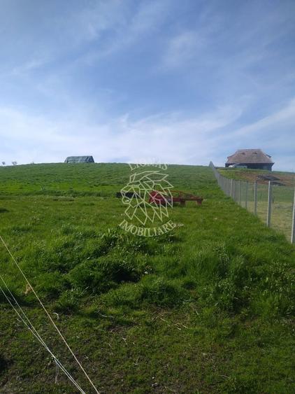 Teren agricol extravilan de 2500 mp, în Monariu