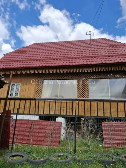Casa batraneasca de vanzare, Vidra, jud Alba