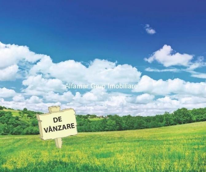 Teren intravilan de 10000 mp, în Cornetu