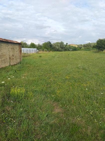 Teren de 2900 mp, în Central