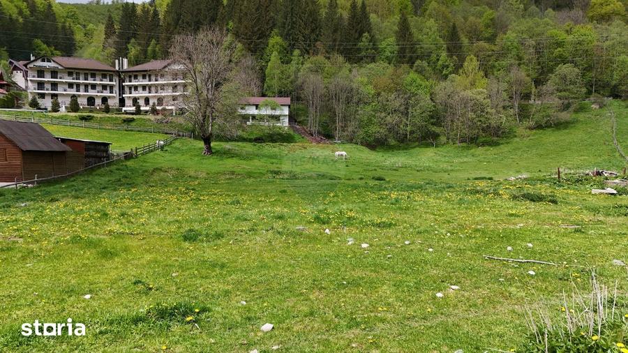 Teren de 10000 mp, în Rucăr