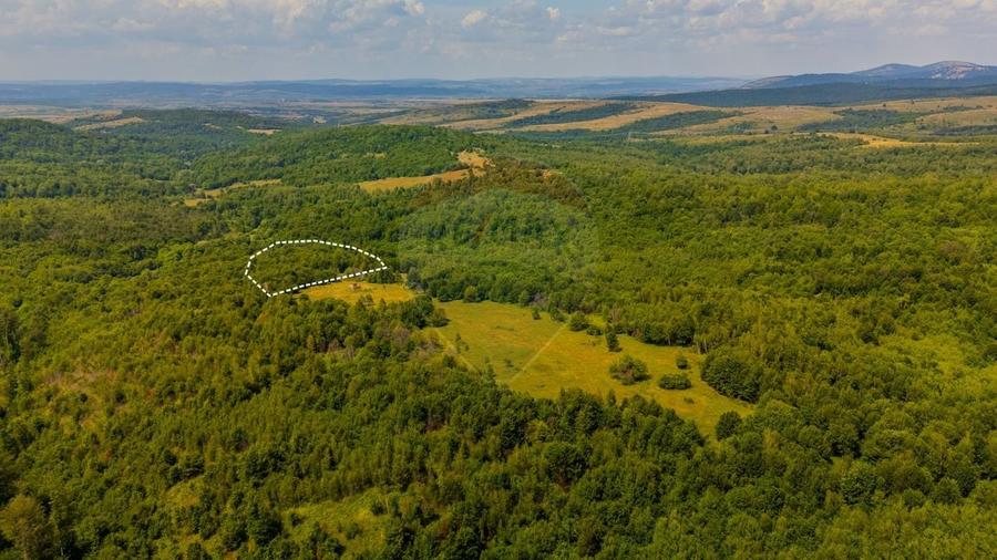 Teren Construcții intravilan de 6572 mp, în Grid