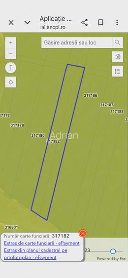Vand teren agricol in Pecica( Turnu) 3,9 ha(fara contract cu arendas)