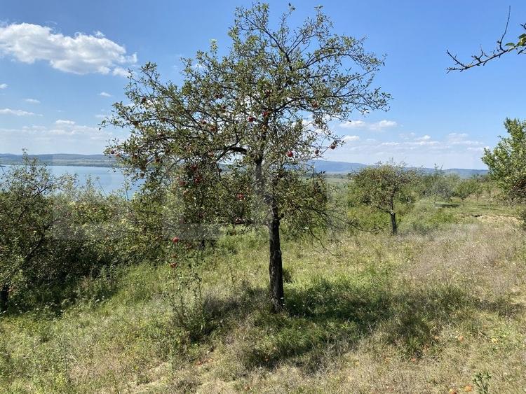 Teren agricol extravilan de 3800 mp, în Recea
