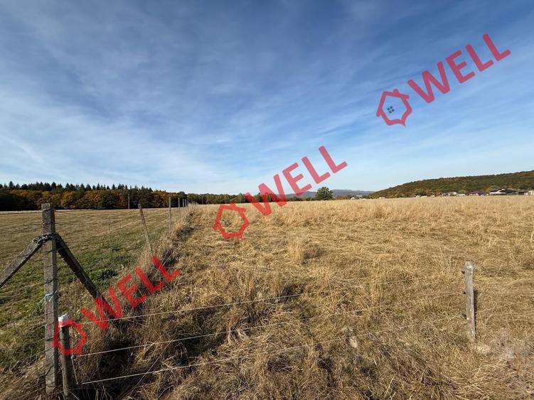 Teren intravilan de 5730 mp, în Periferie