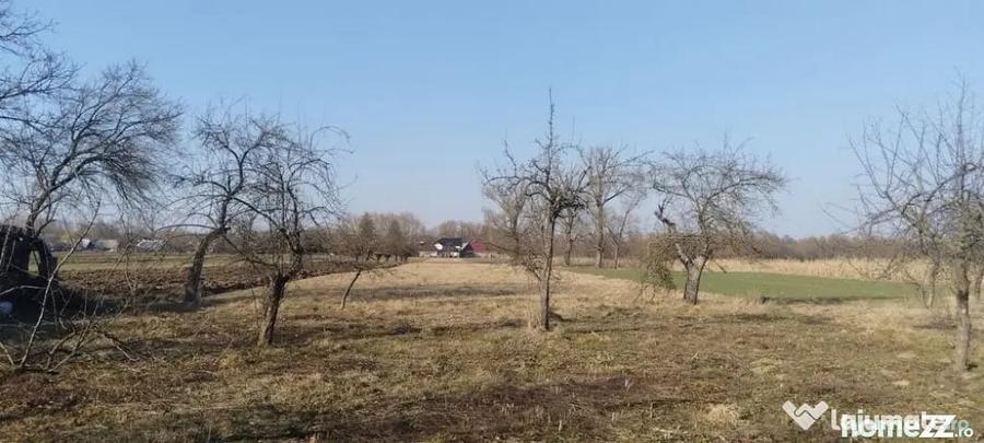 Casă cu 4 camere cu Teren 5400 Mp în Frătăuții Vechi