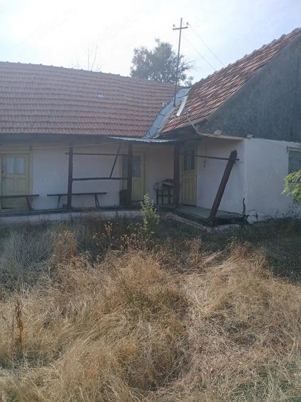 Casă cu Teren 2254 Mp în Bruznic