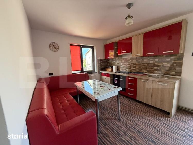 Casă cu 4 camere cu Teren 1479 Mp în Șoimuș