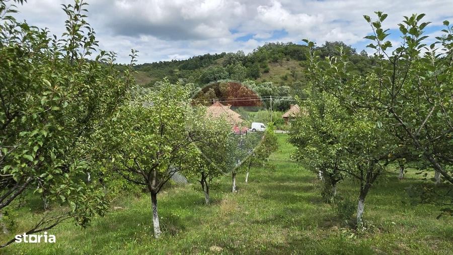 Casă cu 2 camere în Elciu