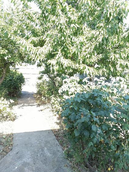 Casă cu Teren 556 Mp în Cândești