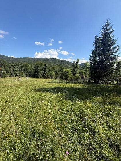 Teren Construcții intravilan de 1662 mp, în Trăisteni