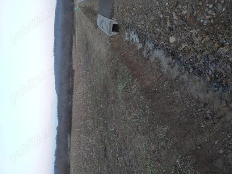 Teren de 800 mp, în Fârdea