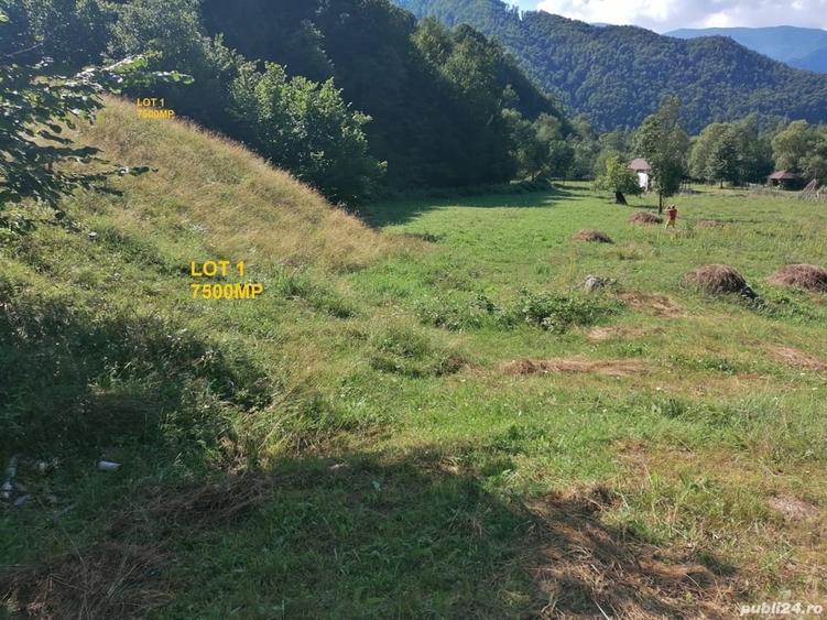 Teren în Malaia
