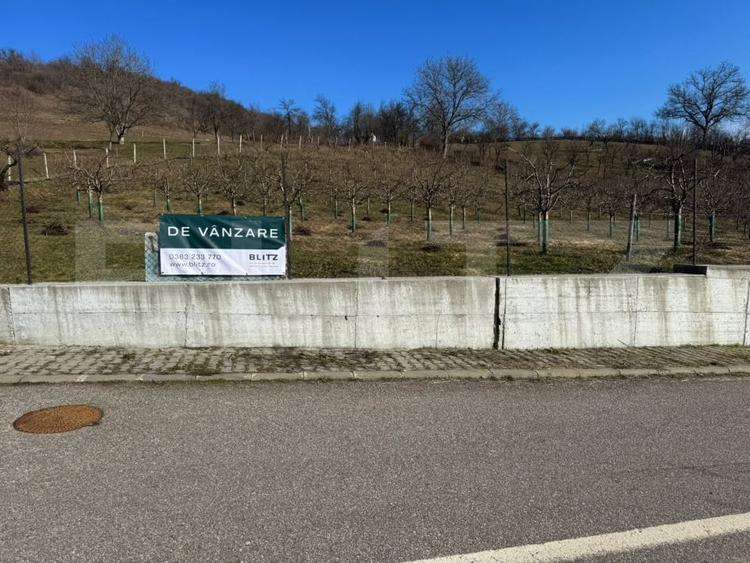 Teren Construcții intravilan de 3001 mp, în Nord-Vest