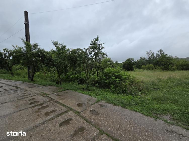 Teren de 1100 mp, în Gura Ocniței