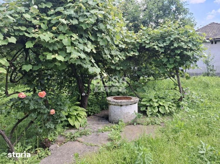 Casă cu 3 camere cu Teren 1291 Mp în Dragodănești