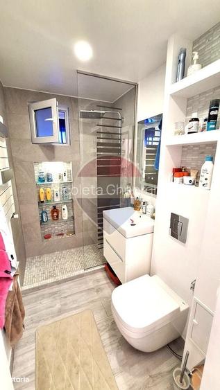 Apartament cu 2 camere de vanzare in zona Camil Ressu/Dristor
