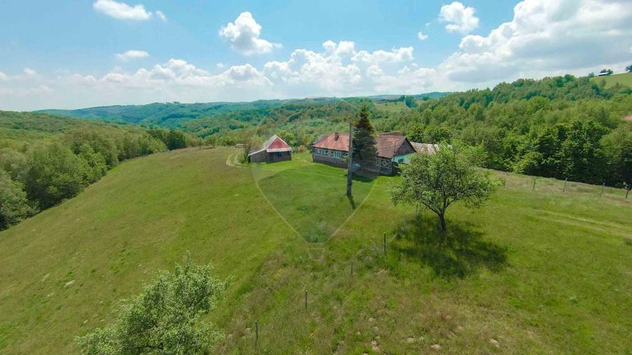 Casă individuală cu 5 camere cu Teren 55706 Mp în Valea Târnei