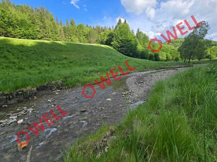Teren agricol extravilan de 57000 mp, în Vama Buzăului
