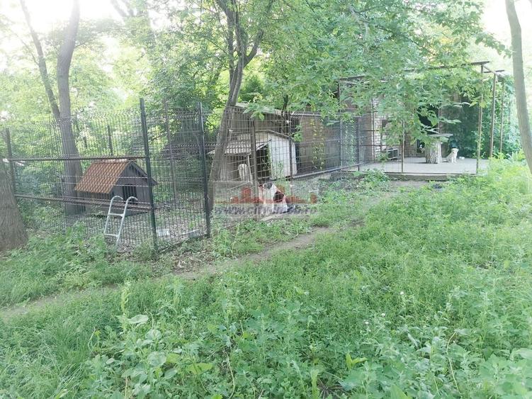 Casă individuală cu 3 camere cu Canalizare în Siliștea Snagovului
