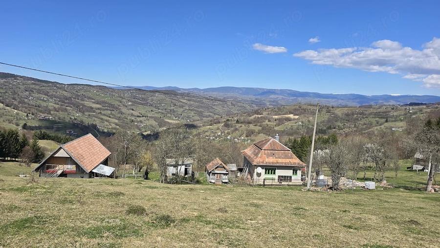 Teren de 23000 mp, în Sohodol