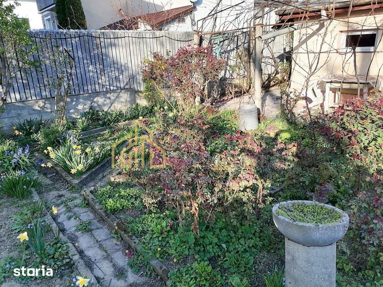 CASA 3 CAMERE SI CURTE - GIULESTI STRADA ARTARULUI - TEREN 296 MP - 7