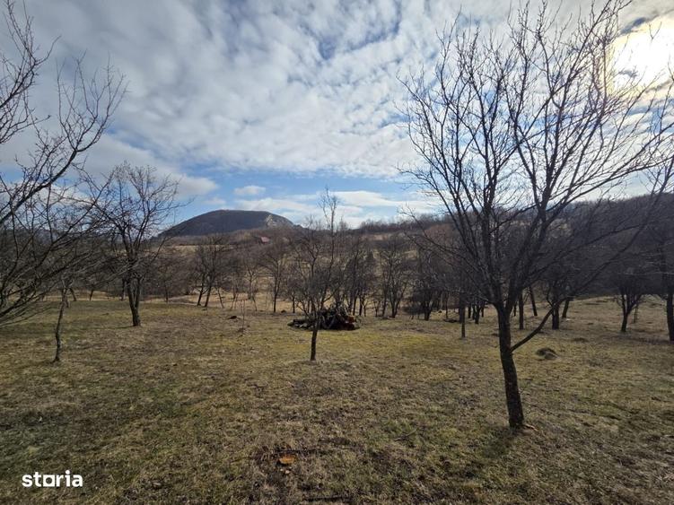Spațiu comercial, în Moigrad-Porolissum
