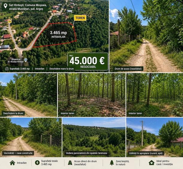 Teren intravilan 3.465 mp | Mo?oaia Hintesti | Deschidere la drum | Ideal pentru locuin?a sau inve - 1