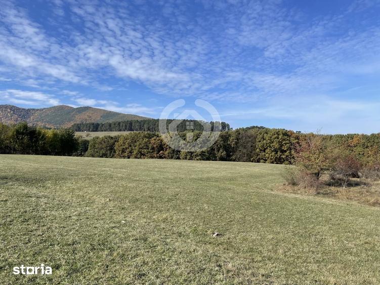 Teren de 1342 mp, în Poplaca